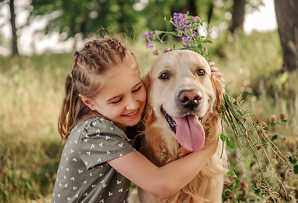 포토 JPG 해외이미지 주간 한마리 여자 꽃 행복 반려견 어린이 안기 휴식 함께함 한명 웃음 들기 상반신 야외 옆모습 아웃포커스 친구 반려동물 골든리트리버 소녀한명만 해외포토 자연요소 식물 동물 1 감정 뷰포인트 컨셉 관계 모션 촬영기법 표정 사람 개 리트리버 여자한명만 소녀만 파일형식 이미지허브