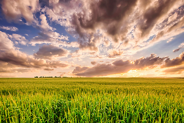 포토 JPG 해외이미지 자연 하늘 사람없음 야외 햇빛 일몰 해외포토 태양 노을 생태계 파일형식 이미지허브