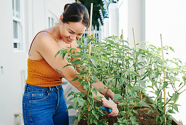 포토 JPG 해외이미지 라이프스타일 응시 여자 한명 서기 들기 상반신 20대 성인 취미 야외 옆모습 정원 모종삽 유기농 원예 심기 성인여자한명만 해외포토 1 웰빙 시선 뷰포인트 모션 사람 청년 생활 삽 여자한명만 성인여자만 파일형식 이미지허브
