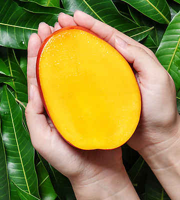 포토 JPG 해외이미지 손 나뭇잎 들기 근접촬영 신체부위 초록색 노란색 망고 해외포토 뷰포인트 컬러 잎 모션 사람 열대과일 파일형식 이미지허브