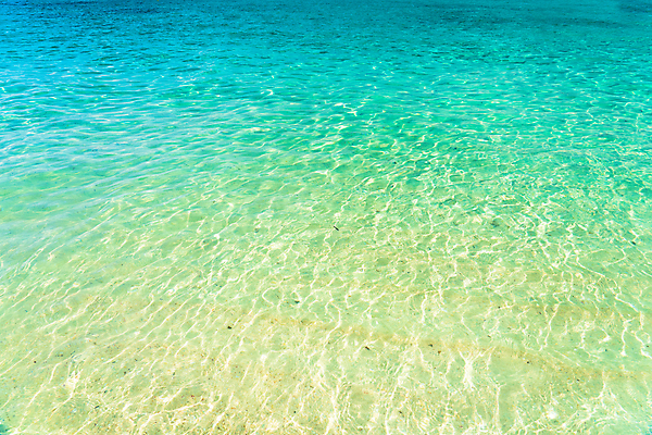 포토 JPG 해외이미지 바다 자연 사람없음 해외포토 생태계 파일형식 이미지허브