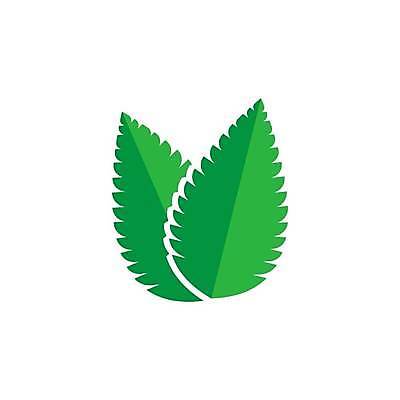 EPS 해외이미지 식물 디자인 실루엣 음식 백그라운드 잎 일러스트 재료 자연 추상 건강 초록색 세트 약 흰색 신선 플랫 맛 민트 허브 심볼 향신료 오브젝트 사인 에코 유기농 향기 아로마 내추럴 고립 엘리먼트 잇몸 평야 현실 스피아민트 해외일러스트 웰빙 컬러 컨셉 무늬 신체 의학 촬영기법 환경 생태계 냄새 향미료 파일형식 벡터 양념 이미지허브