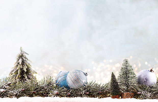 포토 JPG 해외이미지 잎 크리스마스 실내 사람없음 아웃포커스 크리스마스트리 미니어처 흰배경 미니트리 오너먼트 해외포토 식물 기념일 백그라운드 크리스마스장식 촬영기법 내부 모형 흰색 파일형식 이미지허브