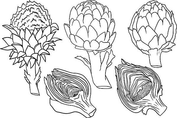 EPS 해외이미지 식물 라이프스타일 접시 디자인 꽃 음식 백그라운드 잎 농업 채소 일러스트 재료 요리 세트 지구본 저녁식사 이탈리아 수확 시골 신선 시장 오브젝트 그림 유기농 날것 고립 절임 비건 해외일러스트 식기 웰빙 유럽 산업 생활 식사 채식주의자 파일형식 벡터 이미지허브