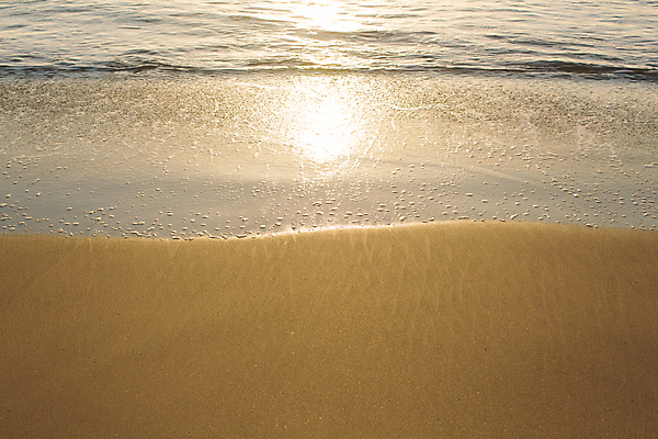 포토 JPG 해외이미지 주간 모래 파도 해변 사람없음 야외 여름 일몰 여름풍경 휴양지 해외포토 자연요소 계절 바다 풍경 노을 장소 파일형식 여름_계절 이미지허브