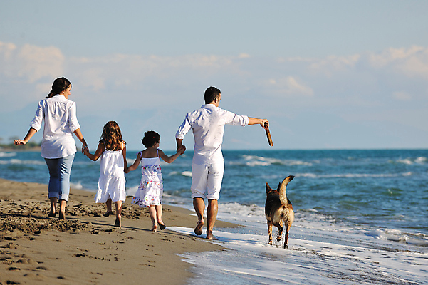 포토 JPG 해외이미지 주간 백인 라이프스타일 남자 딸 행복 반려견 어린이 바다 여행 가족 엄마 휴가 함께함 사랑 들기 여러명 성인 해변 야외 뒷모습 반려동물 걷기 손잡기 기쁨 막대기 아빠 개 해외포토 자연요소 서양인 동물 감정 뷰포인트 다수 컨셉 포유류 관계 모션 사람 생활 파일형식 이미지허브