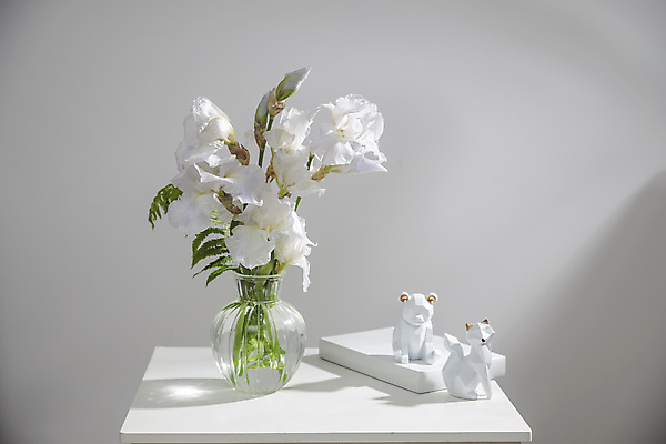 포토 JPG 해외이미지 식물 1 꽃잎 꽃 줄기 백그라운드 잎 꽃무늬 자연 발렌타인데이 사람없음 장식 초록색 파란색 뷰티 머리 보라색 봄 벚꽃 흰색 신선 개화 4 제비꽃 싱글 붓꽃 내추럴 해외포토 계절 컬러 무늬 데이이벤트 신체부위 숫자 생태계 파일형식 이미지허브