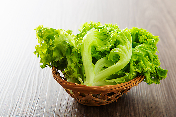 포토 JPG 해외이미지 식물 음식 백그라운드 잎 농업 다이어트 채소 재료 자연 건강 요리 사람없음 초록색 빛 정원 샐러드 신선 상추 먹기 허브 유기농 날것 비타민 내추럴 숙성 채식주의자 해외포토 웰빙 산업 컬러 모션 생태계 채식 영양소 파일형식 이미지허브