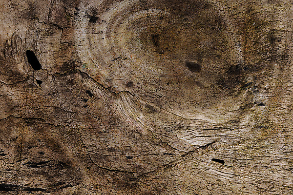 포토 JPG 해외이미지 백그라운드 패턴 사람없음 목재 질감 옛날 해외포토 나무 무늬 재료 파일형식 이미지허브