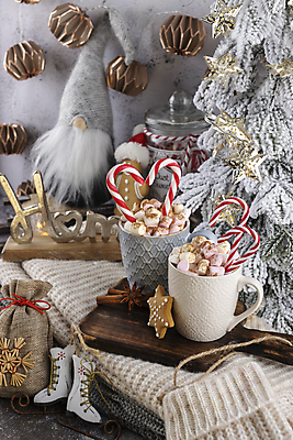 포토 JPG 해외이미지 영어 크리스마스 크리스마스용품 실내 사람없음 미니어처 스케이트 니트 코코아 지팡이사탕 해외포토 문자 기념일 음료 스포츠용품 상의 사탕 내부 모형 용품 파일형식 이미지허브