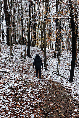 포토 JPG 해외이미지 주간 나무 1 계절 공원 길 포즈 잎 겨울 자국 자연 휴식 건강 한명 사람 성인 사람없음 야외 목재 햇빛 뷰티 평화 걷기 환경 활발 추위 나뭇가지 시골 숲 오솔길 만족 내추럴 해외포토 자연요소 식물 공공시설 감정 컨셉 재료 모션 태양 생태계 파일형식 이미지허브