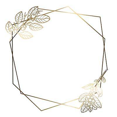 EPS 해외이미지 식물 디자인 배너 열매 꽃 선 백그라운드 잎 꽃무늬 패턴 일러스트 텍스트 자연 추상 프레임 미술 그래픽 빛 줄무늬 낭만 수확 흰색 나뭇가지 황금 우아함 정사각형 심플 엽서 초대 육각형 기하학 직사각형 소셜 엘리먼트 쓰다듬기 국경 해외일러스트 도형 나무 컬러 컨셉 무늬 농업 모션 문화예술 편지 생태계 파일형식 벡터 이미지허브