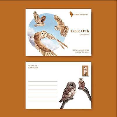 EPS 해외이미지 리플렛 일러스트 사람없음 세트 흰색 나뭇가지 엽서 올빼미 해외일러스트 나무 컬러 조류 편지 파일형식 벡터 이미지허브