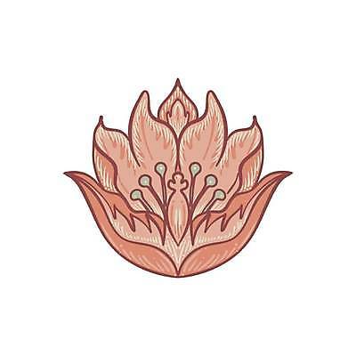 EPS 해외이미지 식물 디자인 꽃 종이 백그라운드 잎 꽃무늬 패턴 일러스트 자연 벽지 영국 잉글랜드 미술 그래픽 장식 정원 봄 낭만 수확 골동품 직물 화려 중세 클래식 큼 타일 그림 질감 복고 빅토리아 옛날 포장소품 회복 스타일 해외일러스트 계절 유럽 컨셉 무늬 농업 포장 문화예술 역사 크기 오브젝트 생태계 포장재료 파일형식 벡터 이미지허브