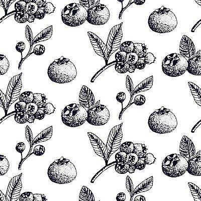 EPS 해외이미지 식물 음식 백그라운드 잎 패턴 농업 다이어트 과일 일러스트 자연 잉크 건강 그래픽 파란색 정원 수확 신선 달콤 숲 스케치 먹기 허브 메뉴 그림 유기농 블루베리 내추럴 고립 숙성 채식주의자 비건 해외일러스트 웰빙 산업 컬러 무늬 모션 미술 맛 생태계 채식 파일형식 벡터 이미지허브