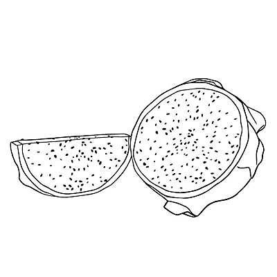 EPS 해외이미지 식물 디자인 아시아 음식 조각 다이어트 과일 일러스트 재료 태국 자연 디저트 건강 동양인 여름 세트 주스 흰색 용 신선 달콤 맛 낙서 스케치 메뉴 유기농 날것 손그림 비타민 내추럴 고립 숙성 이국적 채식주의자 맛있는 해외일러스트 웰빙 계절 나라 음료 컬러 컨셉 미술 인종 생태계 채식 영양소 파일형식 벡터 이미지허브