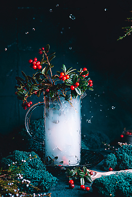 포토 JPG 해외이미지 열매 음료 겨울 과일 유리 따뜻함 건강 요리 사람없음 빨간색 식당 저녁식사 주스 카페 빵집 칵테일 뜨거움 달콤 맛 아침식사 숲 레모네이드 민트 메뉴 유기농 레시피 채식주의자 크랜베리 맛있는 해외포토 식물 웰빙 계절 컬러 컨셉 재질 주류 상점 식사 허브 채식 에이드 파일형식 이미지허브