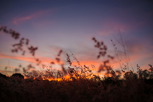 포토 JPG 해외이미지 백그라운드 자연 하늘 날씨 사람없음 파란색 빛 햇빛 뷰티 흰색 천국 솜털 해외포토 컬러 태양 생태계 파일형식 이미지허브