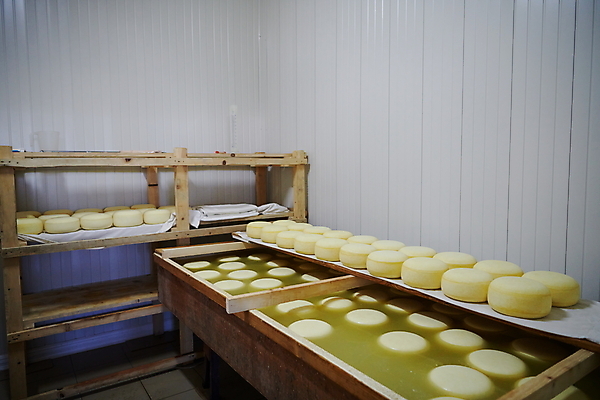 포토 JPG 해외이미지 공장 치즈 선반 사람없음 쌓기 제조 유기농 만들기 전통방식 많음 해외포토 전통 웰빙 가구 컨셉 공업 모션 유제품 파일형식 이미지허브