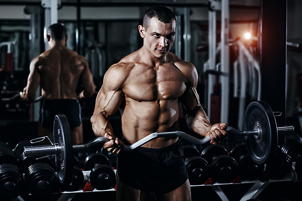 포토 JPG 해외이미지 모양 백인 스포츠 신체 근육 건강 한명 사람 성인 빛 운동 뷰티 힘 기계 장비 기차 무게 보디빌딩 날씬함 연습 클럽 체육관 근육질 리프트 반항 궤 리프팅 힘찬 해외포토 서양인 1 육상교통 컨셉 모션 대중교통 헬스 몸매 파일형식 이미지허브