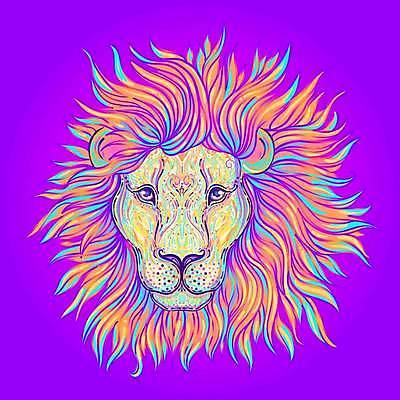 EPS 해외이미지 동물 손 디자인 포스터 얼굴 야생동물 백그라운드 티셔츠 패턴 일러스트 아프리카 자연 털 동물원 미술 그래픽 장식 빛 컬러풀 머리 수확 낙서 인쇄 사자 스케치 문신 그림 네온 손그림 사자자리 부족 고립 동물상 마스코트 스타일 해외일러스트 나라 컬러 컨셉 셔츠 무늬 농업 포유류 문화예술 신체부위 조형물 별자리 생태계 파일형식 벡터 이미지허브