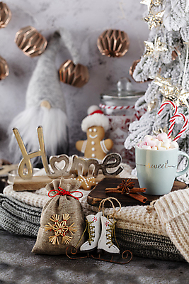 포토 JPG 해외이미지 영어 인형 크리스마스 크리스마스용품 실내 사람없음 미니어처 스케이트 주머니 코코아 진저맨 진저쿠키 해외포토 문자 기념일 음료 스포츠용품 내부 모형 쿠키 용품 파일형식 이미지허브