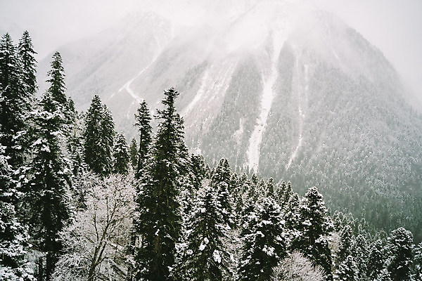 포토 JPG 해외이미지 나무 계절 공원 여행 백그라운드 크리스마스 겨울 자연 하늘 날씨 휴가 산 사람없음 야외 목재 파란색 빛 뷰티 냉동 얼음 추위 흰색 신선 소나무 숲 시원함 12월 서리 장면 침엽수 전나무 1월 내추럴 폭설 눈내림 가문비나무 해외포토 자연요소 식물 공공시설 기념일 컬러 재료 눈_날씨 날짜 자연재해 생태계 파일형식 이미지허브