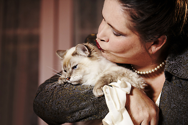 포토 JPG 해외이미지 한마리 응시 여자 키스 실내 사랑 한명 상반신 성인 옆모습 아웃포커스 귀여움 고양이 부담 성인여자한명만 반려묘 해외포토 1 시선 감정 뷰포인트 컨셉 포유류 촬영기법 사람 내부 반려동물 애정표현 여자한명만 성인여자만 파일형식 이미지허브