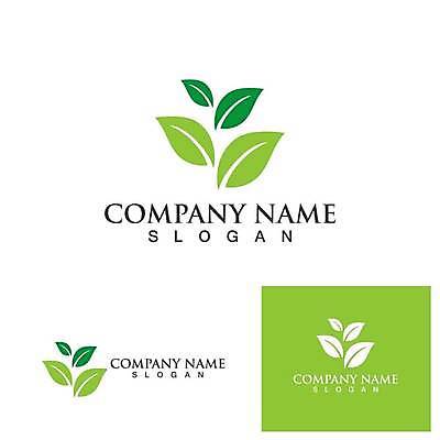 EPS 해외이미지 디자인 잎 일러스트 사람없음 초록색 심볼 에코 유기농 엘리먼트 해외일러스트 식물 웰빙 컬러 환경 파일형식 벡터 이미지허브