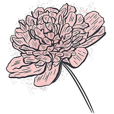 EPS 해외이미지 식물 1 꽃잎 꽃 실루엣 선 분홍색 결혼 백그라운드 일러스트 추상 사랑 미술 동양인 그래픽 장식 컬러풀 장미 정원 봄 수확 나뭇가지 신용카드 개화 낙서 스케치 싱글 심플 윤곽 부드러움 손그림 작약 스타일 해외일러스트 나무 계절 감정 컬러 무늬 농업 문화예술 촬영기법 인종 이벤트 금융 감각 파일형식 벡터 이미지허브