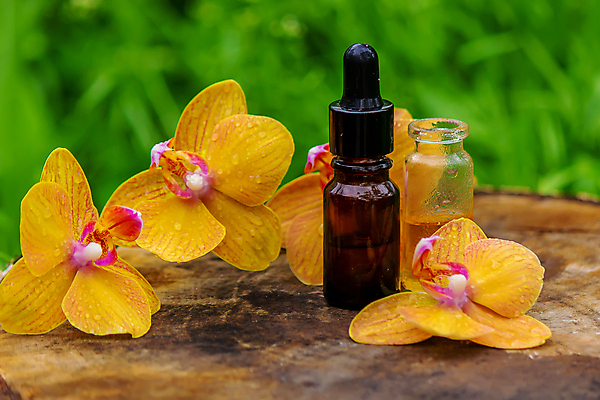 포토 JPG 해외이미지 식물 라이프스타일 꽃잎 꽃 꽃무늬 신체 자연 유리 휴식 건강 사람없음 치료 뷰티 약 스파 목욕 화장품 흰색 신선 마사지 액체 난초 고급 기름 상품 허브 향수 유기농 향기 냄새 아로마 향 아로마테라피 테라피 내추럴 돌봄 바디케어 에센스 위생관리 해외포토 웰빙 음식 컬러 컨셉 무늬 의학 모션 재질 관리 생활 청결 생태계 파일형식 이미지허브