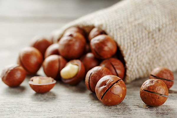 포토 JPG 해외이미지 사람없음 아웃포커스 껍질 쏟아짐 포대자루 마카다미아 나무배경 해외포토 백그라운드 모션 촬영기법 견과류 자루 파일형식 이미지허브