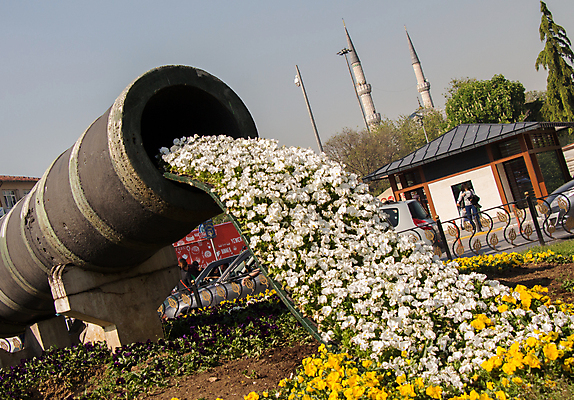 포토 JPG 해외이미지 식물 디자인 꽃잎 꽃 꽃무늬 자연 발렌타인데이 선물 사람없음 장식 여름 컬러풀 뷰티 장미 정원 봄 낭만 벚꽃 축하 우아함 파이프 해외포토 계절 컬러 컨셉 무늬 데이이벤트 생태계 파일형식 이미지허브