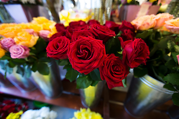 포토 JPG 해외이미지 꽃 꽃다발 사람없음 야외 장식 장미 상점 꽃집 양동이 해외포토 식물 파일형식 이미지허브