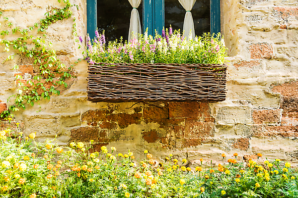 포토 JPG 해외이미지 식물 외관 꽃 백그라운드 꽃무늬 밭 창문 자연 사람없음 파란색 햇빛 태양 정원 보라색 일몰 개화 저녁 제비꽃 향수 원예 아로마 라벤더 내추럴 프랑스어 해외포토 자연요소 문자 컬러 무늬 농업 취미 노을 화장품 야간 허브 생태계 파일형식 이미지허브