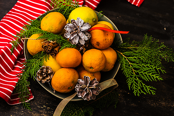 포토 JPG 해외이미지 잎 귤 실내 사람없음 식탁보 담기 솔방울 나무배경 해외포토 식물 백그라운드 과일 모션 내부 파일형식 이미지허브