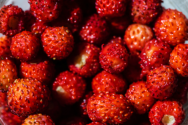 포토 JPG 해외이미지 식물 열매 음식 백그라운드 잎 과일 자연 딸기 건강 사람없음 빨간색 초록색 여름 신선 달콤 숲 유기농 산딸기 내추럴 숙성 채식주의자 해외포토 웰빙 계절 컬러 맛 생태계 채식 파일형식 이미지허브