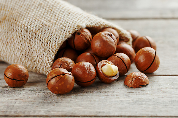 포토 JPG 해외이미지 사람없음 껍질 쏟아짐 포대자루 마카다미아 나무배경 해외포토 백그라운드 모션 견과류 자루 파일형식 이미지허브