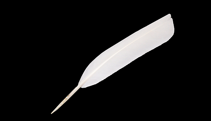 포토 JPG 해외이미지 동물 백그라운드 컨셉 패턴 날개 상상 자연 조류 추상 그림자 사람없음 장식 초록색 빛 숫자 유행 우주 검은색 꿈 회색 수확 흰색 떨어짐 매끈함 야간 순수 깃털 묘사 오브젝트 질감 비둘기 백조 부드러움 솜털 내추럴 고립 깃털펜 취급주의 파스텔톤 해외포토 자연요소 문자 컬러 무늬 농업 경고 펜 감각 생태계 파일형식 이미지허브