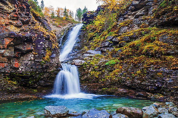포토 JPG 해외이미지 나무 여행 자연 산 사람없음 야외 초록색 물 강 환경 트래킹 폭포 하이킹 회색 신선 개울 숲 북극 즐거움 러시아 암초 북쪽 내추럴 해외포토 자연요소 식물 감정 유럽 컬러 레저 극지방 방향 생태계 파일형식 이미지허브