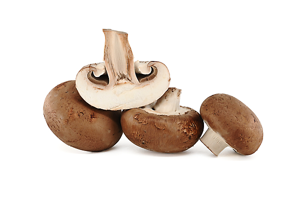 포토 JPG 해외이미지 식물 계절 음식 백그라운드 다이어트 채소 재료 자연 탁자 건강 요리 사람없음 목재 갈색 주방 식사 저녁식사 버섯 흰색 시골 신선 그룹 맛 숲 먹기 유기농 날것 내추럴 고립 곰팡이 식용 채식주의자 캡모자 맛있는 해외포토 나무 모자_잡화 웰빙 컬러 가구 컨셉 모션 생태계 채식 파일형식 이미지허브