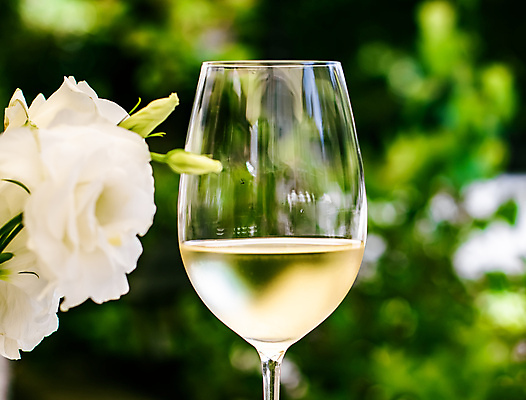 포토 JPG 해외이미지 주간 와인잔 한잔 사람없음 야외 아웃포커스 장미 와인 화이트와인 해외포토 자연요소 1 꽃 술잔 주류 촬영기법 파일형식 이미지허브