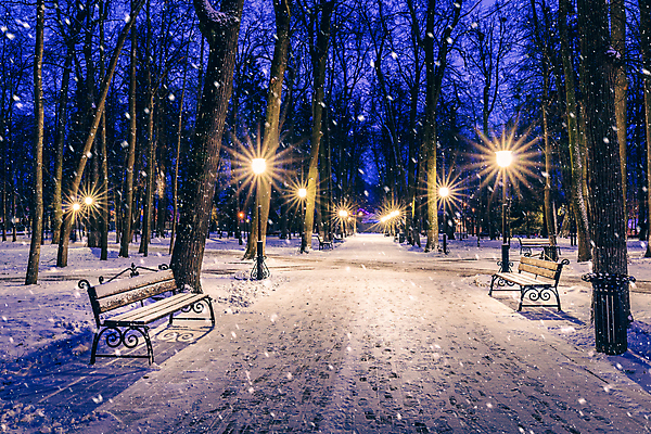 포토 JPG 해외이미지 나무 계절 공원 길 크리스마스 겨울 가로등 벤치 자연 날씨 풍경 사람없음 야외 빛 냉동 얼음 새벽 추위 등불 램프 도시 보행로 야간 저녁 12월 서리 장면 빛망울 1월 2월 폭설 눈내림 해외포토 자연요소 식물 공공시설 기념일 의자 조명 눈_날씨 날짜 자연재해 생태계 파일형식 이미지허브