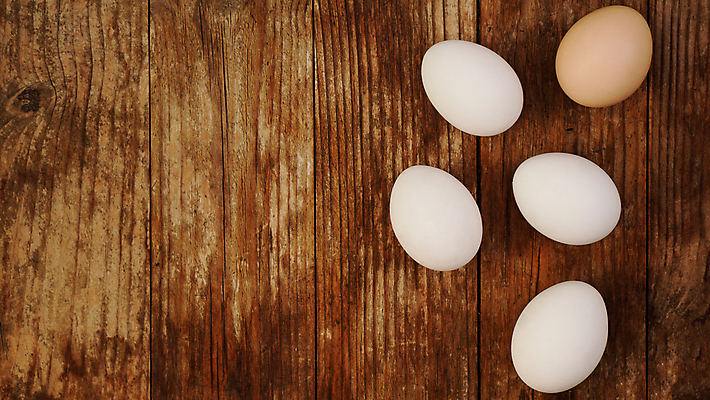 포토 JPG 해외이미지 실내 사람없음 계란 카피스페이스 나무배경 해외포토 백그라운드 내부 알 공백 파일형식 이미지허브