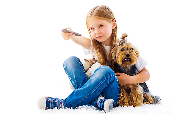 포토 JPG 해외이미지 동물 라이프스타일 행복 어린이 포옹 놀이 주택 실내 따뜻함 사랑 한명 앉기 친구 반려동물 우정 기쁨 개 달콤 강아지 작음 요크셔테리어 테리어 긍정 주인 고립 돌봄 동반자 미니 유래 해외포토 1 감정 컨셉 포유류 관계 안기 모션 사람 내부 건물 생활 맛 크기 파일형식 이미지허브