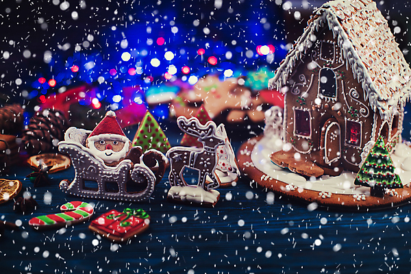 포토 JPG 해외이미지 크리스마스 실내 사람없음 아웃포커스 쿠키 루돌프 눈 보케 과자집 산타모양 해외포토 자연요소 모양 기념일 날씨 사슴 디저트 촬영기법 내부 산타클로스 파일형식 이미지허브