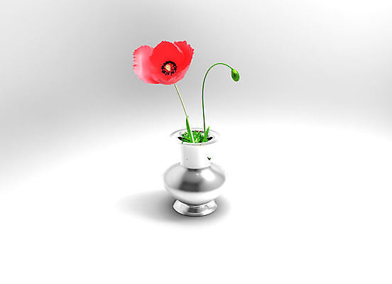 포토 JPG 해외이미지 식물 1 디자인 계절 꽃잎 꽃 줄기 백그라운드 꽃무늬 밭 자연 사람없음 장식 빨간색 초록색 여름 뷰티 머리 정원 봄 활발 들꽃 벚꽃 흰색 시골 닫기 싱글 양귀비 내추럴 꽃수술 취급주의 해외포토 컬러 컨셉 무늬 농업 모션 경고 신체부위 생태계 파일형식 이미지허브