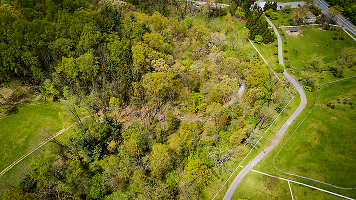 포토 JPG 해외이미지 나무 식물 계절 여행 백그라운드 잎 자연 벽지 아침 안테나 국립공원 풍경 사람없음 목재 초록색 물 환경 일몰 봄 탐험 시골 소나무 행운 플랫 정상 숲 질감 내추럴 드론 해외포토 주간 자연요소 공원 컬러 컨셉 재료 통신 노을 생태계 파일형식 이미지허브