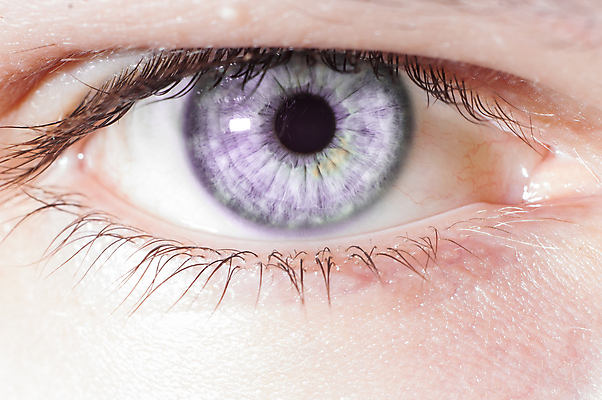 포토 JPG 해외이미지 학생 응시 여자 남자 얼굴 건강 사람 성인 사람없음 파란색 뷰티 검은색 화장품 흰색 관찰 신선 닫기 눈동자 미용사 눈썹 속눈썹 묘사 질감 시력 비전 붓꽃 안과 내추럴 완벽 광학 해외포토 직업 시선 꽃 컬러 컨셉 모션 병원 신체부위 눈_신체부위 파일형식 이미지허브