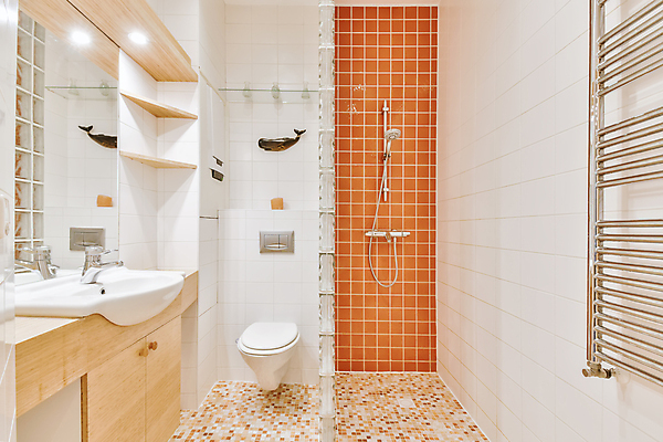 포토 JPG 해외이미지 실내 사람없음 인테리어 거울 욕실 세면대 화장실 심플 샤워기 변기 해외포토 디자인 내부 파일형식 이미지허브